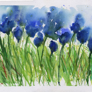 Every Garden Grows One