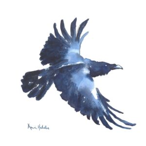 The Wisdom of Ravens