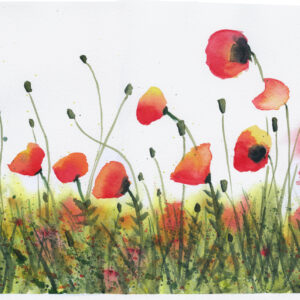 Poppy Field