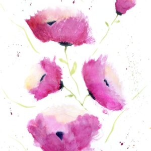 Pink Poppies